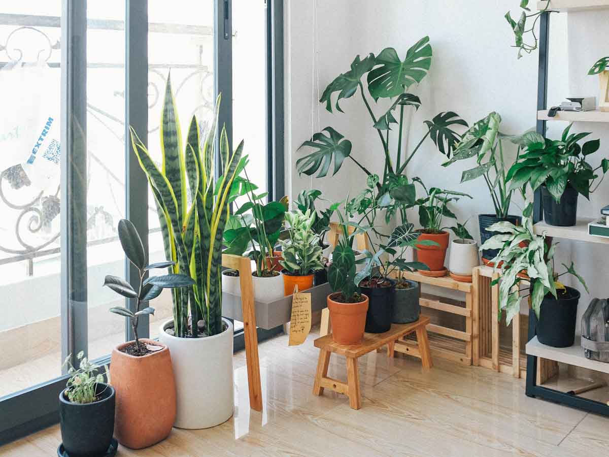 Tips slaapkamer inrichten: planten woonkamer