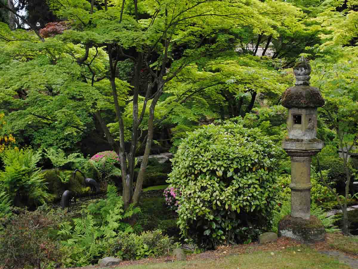 japanse tuin